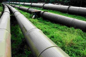 pipeline gas. algeria. image