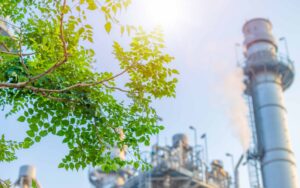 Algeria - carbon footprint