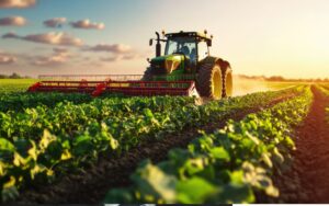 hydrocarbon algeria farming agriculture