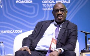 tanzania mines minerals