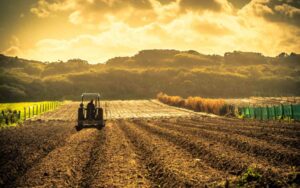 Mining 2 Congo_fertilizer_agriculture - canva