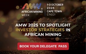 AMW Investor Strategies