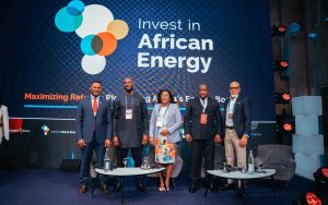 Sierra Leone Panel 1 IAE 2025