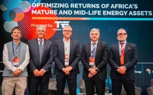 Africa's Mature Assets IAE 2025 Panel