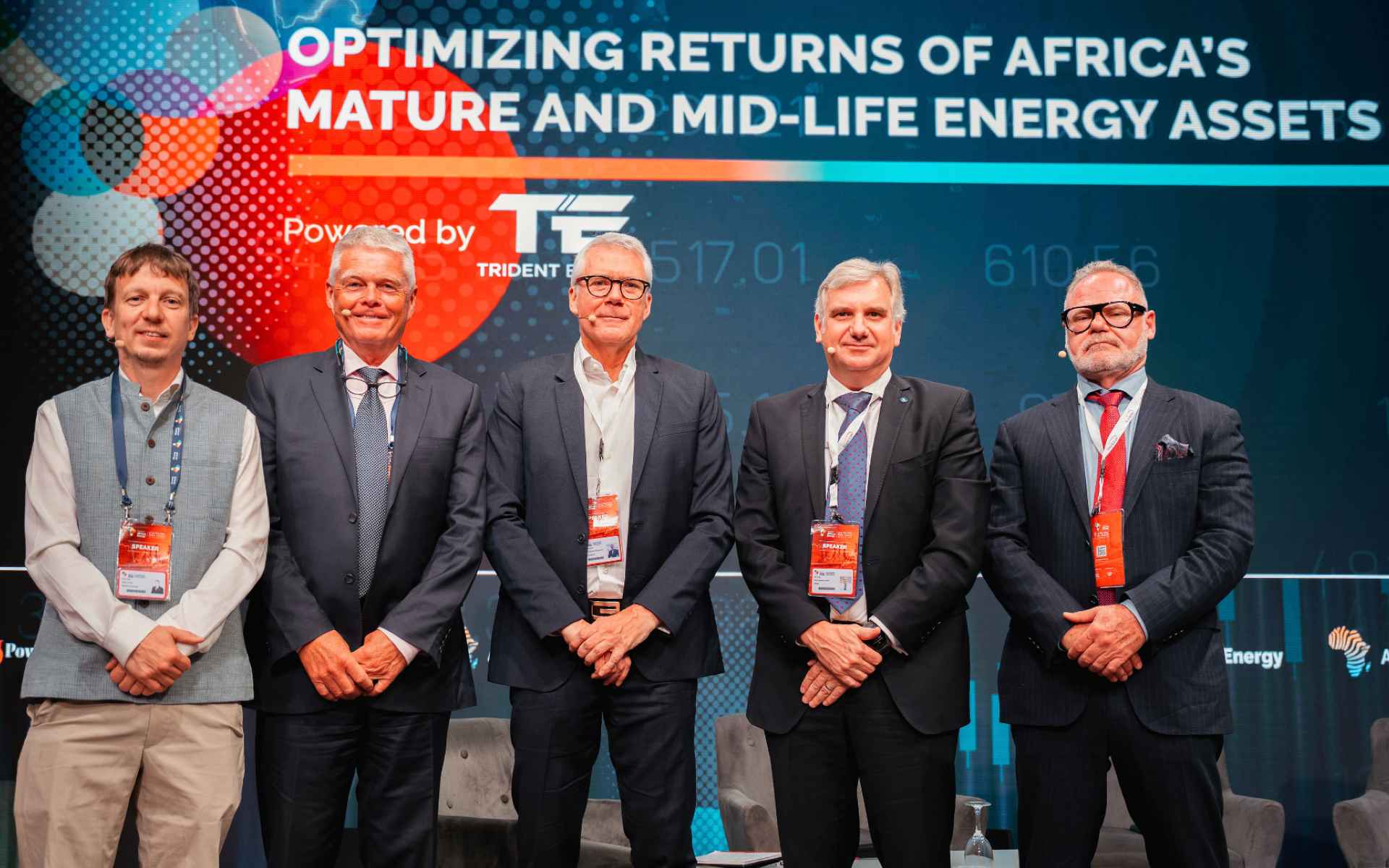 Africa's Mature Assets IAE 2025 Panel
