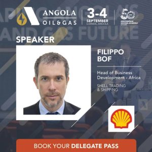 Republic of Congo to Launch National Gas Company, Targets Local Gas Demand 1 gas company