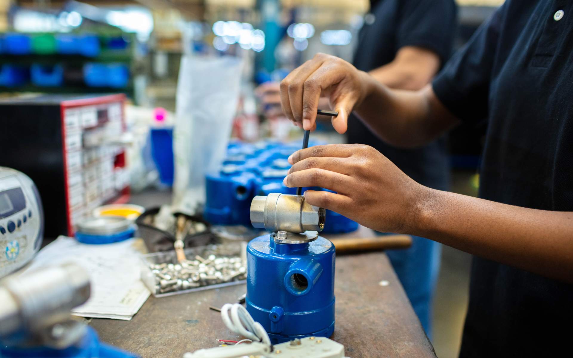 Assembly plan Egypt Senegal - canva