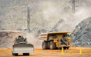 Guinea’s Syncerus Project