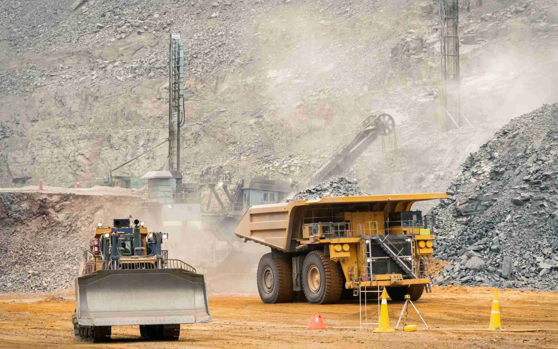 Guinea’s Syncerus Project